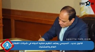 قانون جديد.. السيسي يعتمد تنظيم ملكية الدولة في شركات القطاع العام والمشترك